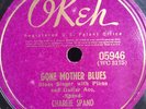 CHARLIE SPAND OKEH 05946 BLUES 78 RPM V+