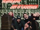 Beastie Boys Get It Together - Green Vinyl 7
