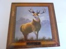 KILLDOZER TWELVE POINT BUCK  VINYL LP EXC CONDITION WITH INSERTS