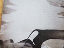 Snow Patrol - Chasing Cars - 7