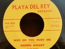 Sherri Knight & The Knights Playa Del Rey 103 
