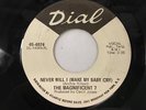 THE MAGNIFICENT 7 45: Ooh, Baby Baby / Never Will I, DIAL Records PROMO Soul