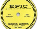 The JAMIES Rock'n Roll 78 RPM Record. Summertime, Summertime. Near mint