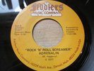 Raw Detroit 70's Punk 45 - ADRENALIN - Rock N Roll Screamer - FIDDLERS