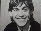 Iggy Pop – Lust For Life. RCA Victor – PL-12488. LP.  VG condition.