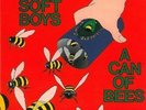 The Soft Boys - Can of Bees [New Vinyl LP]