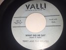 TERRY AND THE PIRATES WHAT DID HE SAY /TALK ABOUT THE GIRL RARE VALLI RECORDS 45
