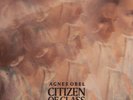 AGNES OBEL - CITIZEN OF GLASS   VINYL LP NEW+