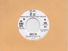 THE BEACH BOYS  Surf's Up / Don't Go Near The Water  rare promo 45 from 1971