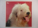 WALT DISNEY THE SHAGGY DOG 1959 DG MONO LP 1st PRESS +BOOKLET Disneyland 3044