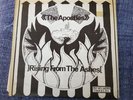 the apostles rising from the ashes 7