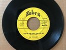 The Strollers - You're The Only One For Me * Zebra R&B Doo Wop 45