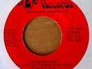 SOUL 45 - EMBERS - I'M GONNA DO BEAUTIFUL THINGS FOR YOU - EEE LABEL