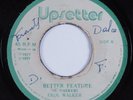 Reggae 45 EROL WALKER Better Feature UPSETTER HEAR