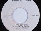 Reggae 45 LEROY WALLACE Far Beyond BONGO MAN HEAR