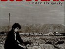 Bob Dylan Under The Red Sky UK vinyl LP album record 4671881 CBS 1990
