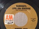 Northern Soul 45 Robert John Raindrops, Love and Sunshine on A&M HEAR