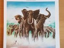 Elvis Costello Armed Forces MFSL Numbered 180gm vinyl LP EX/EX MFSL 1-331