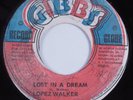Reggae 45 LOPEZ WALKER Lost In A Dream GIBBS HEAR