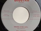 Original Hal Andrews, Brown Eyed Girl 45 rpm record, rockabilly bopper, 1959