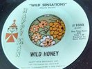 Unknown Mod Psych Funk Dance Floor Slammer 45 Wild Honey Wild Sensations HEAR