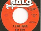 RAY RUFF & CHECKMATES 45  A Fool Again / Pledge Of Love  (Holly sound) - NM