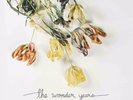 The Wonder Years Burst & Decay White Orange Yellow Purple Splatter Vinyl EP 12