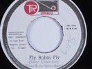 Soul Reggae 45 TONEY & SWEET BUNCH Fly Robin Fly GROOVEMASTER VG+ HEAR