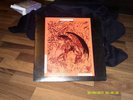 Destructors - merry christmas and...Lp  Rar  Punk  HC OI