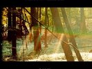 Camp [VINYL] Childish Gambino Vinyl