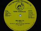 TERRI GONZALEZ How Good It Is/Caught Up 12