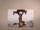 SHELLAC - Dude Incredible - Vinyl (180 gram vinyl LP + CD)