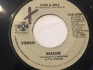 45 MEADOW (Laura Branigan) Cane & Able - EX US 1973 Paramount SAMPLE 0208 001