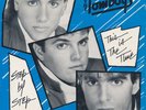 THE TOMBOYS Step By Step (w/ Raul Malo of The Mavericks) NM 45 w Picture Sleeve
