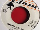 Ray Willis - Whatta You Do (Original Rockabilly Promo)