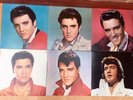 Elvis Presley's Greatest Hits By Readers Digest Vinyl Records