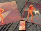 Roger Waters Pros and Cons of Hitch Hiking Sealed Plus 12