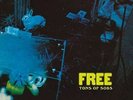 Free - Tons Of Sobs NEW LP