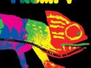 FRUMPY - All Will Be Changed  LP Vinyl - Krautrock  lost century re-release 2013