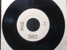 Stray Cats Rock This Town  USA 7