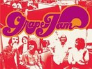 MOBY GRAPE  Grape Jam   2007 US LP Re-Issue   withdrawn and OOP   NEW