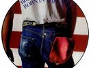 Bruce Springsteen Born in the USA picture disc