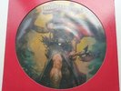 181A	Molly Hatchet	Flirtin' with Disaster	US LIMITED EDITION PICTURE DISC LP