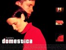 Cursive domestica 12