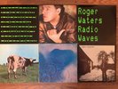 6 Vinyl 12