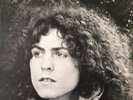 Tyrannosaurus Rex Lp Double T-Rex Unicorn  Beard Of Stars Vinyl
