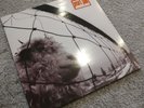 Pearl Jam Vs Vinyl.