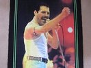 QUEEN  :  VINTAGE FREDDIE MERCURY LIVE AID / WEMBLEY COTTON WALL RUG - MINT