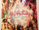 The Hold Steady Boys and Girls in America Deluxe Colored Vinyl (sold out)