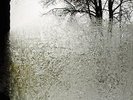 Bon Iver - For Emma,Forever Ago Vinyl LP Jagjaguwar NEU
